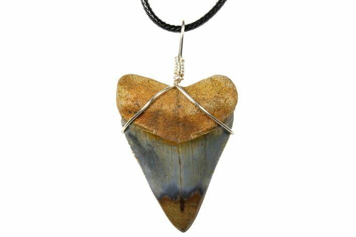 Serrated, Fossil Great White Shark Tooth Necklace #130976